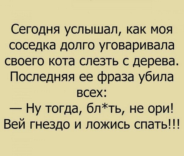 Смешные картинки с надписями Смешные картинки с надписями прикол, юмор