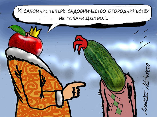 У дачников опять вырастут налоги: Дума приняла новый закон У дачников опять вырастут налоги: Дума приняла новый закон