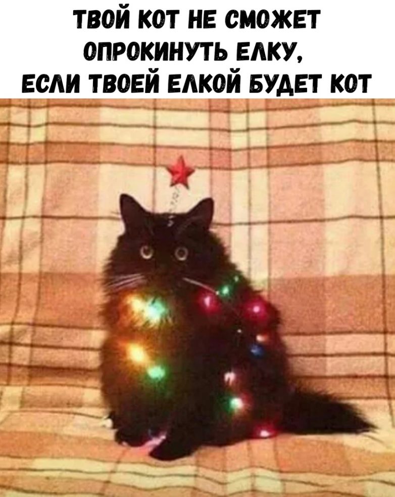 Новогодние приколы. Класс! Новогодние приколы. Класс!