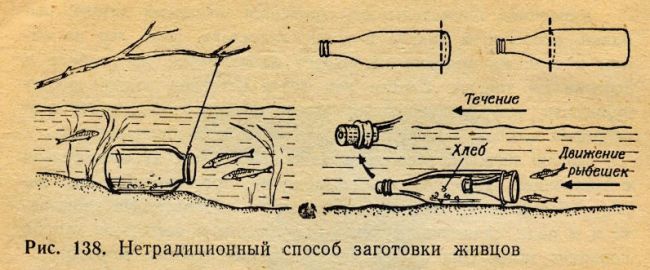 Как сделать ловушку для рыбы из бутылки Как сделать ловушку для рыбы из бутылки