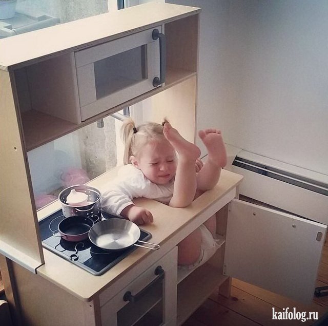 Чудо в перьях (45 фото) Чудо в перьях (45 фото)