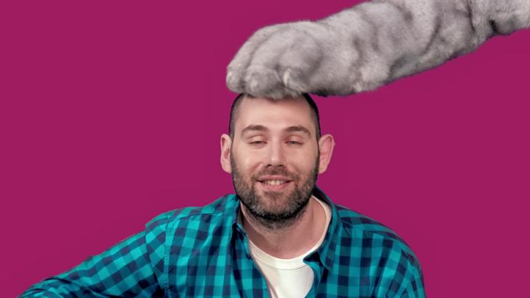 Новый шедевр от Семена Слепакова — «Котозависимость». Песня, в которой многие узнают себя! Новый шедевр от Семена Слепакова — «Котозависимость». Песня, в которой многие узнают себя!