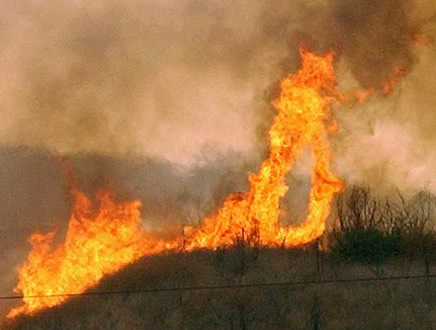 Увеличенный демон