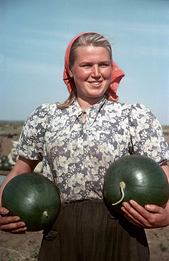 Освоение целины на цветных фото из архива журнала «Огонек»