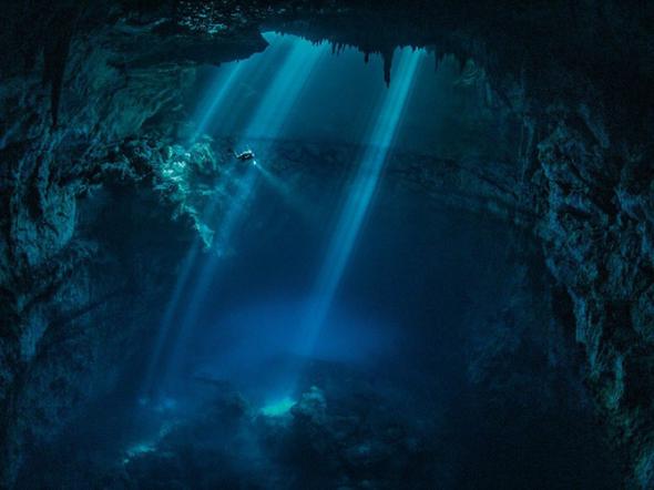 Лучшие фотографии National Geographic за август 2013