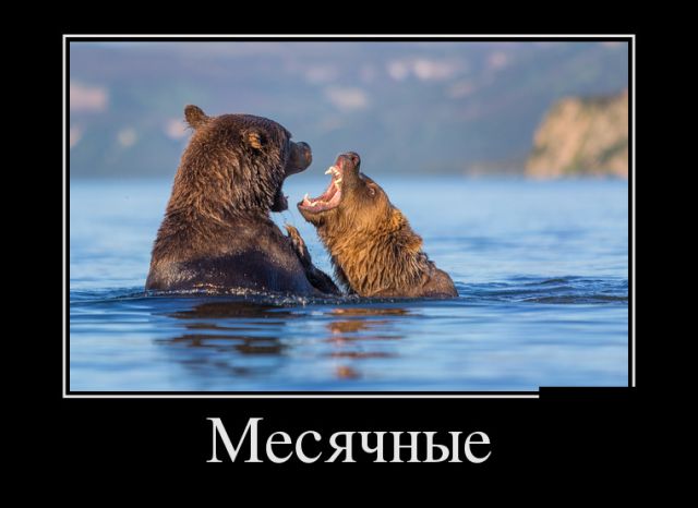 Демотиваторы (30 фото) Демотиваторы (30 фото)