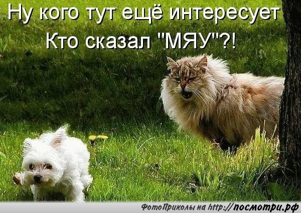 картинки смешные про шлюх картинки смешные про шлюх