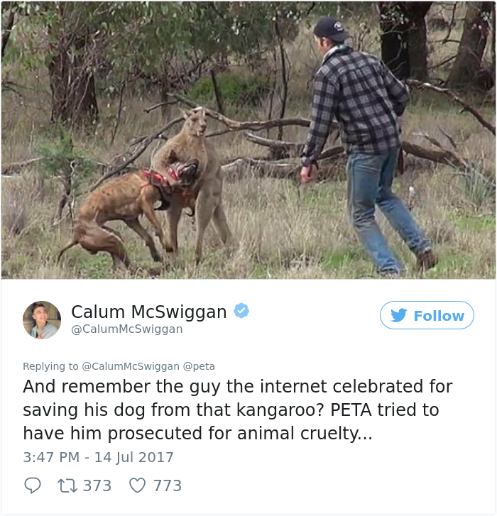 guy-sums-up-peta-twitter-calum-mcwiggan (6)