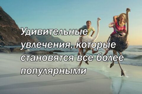Удивительные увлечения, которые становятся все более популярными