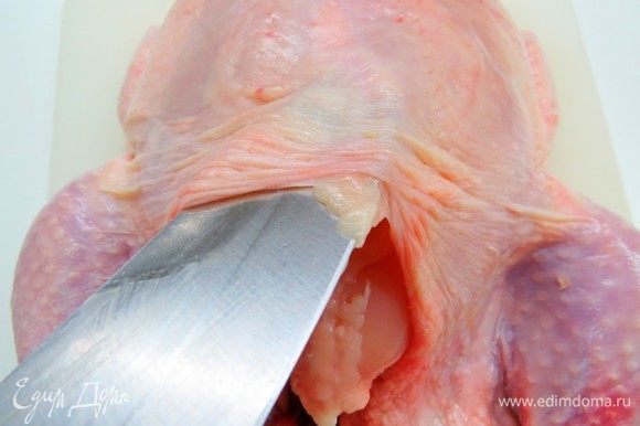 Затем перевернуть курицу, удалить хвостик и аккуратно отделить ножом кожу со стороны спинки. Затем перевернуть курицу, удалить хвостик и аккуратно отделить ножом кожу со стороны спинки.