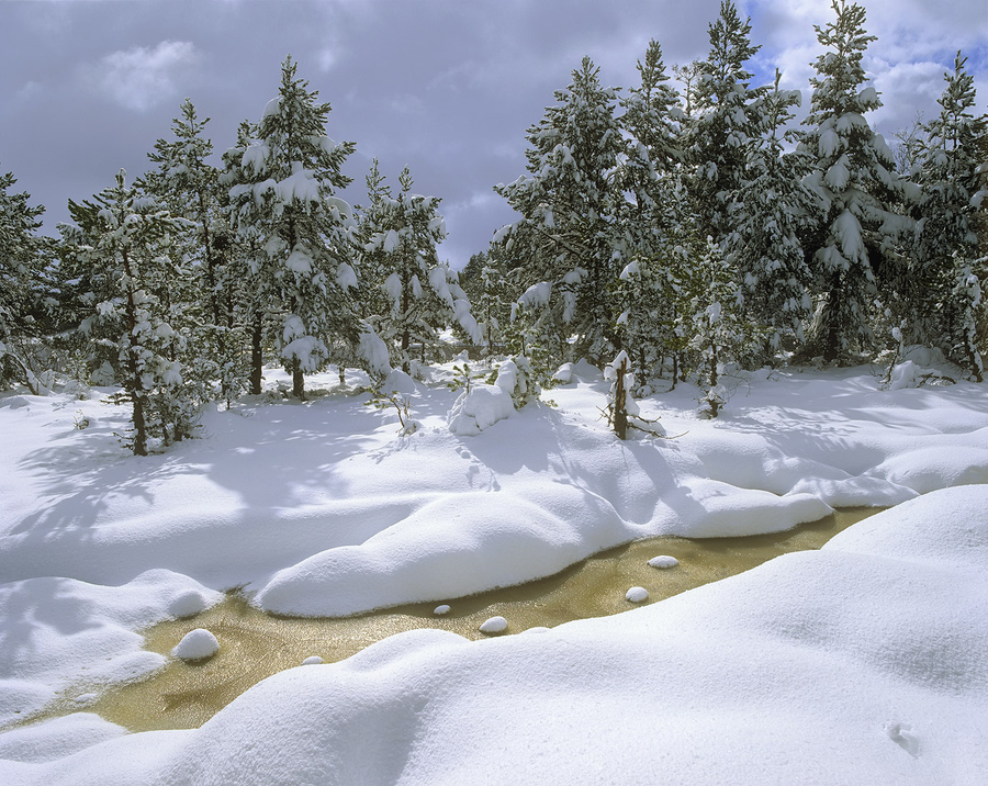 Завораживающие пейзажи Яна Камерона (Ian Cameron)