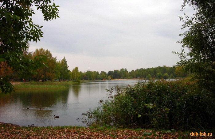 Рыбалка в городской черте.