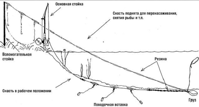 Донка резинка на карася Донка резинка на карася