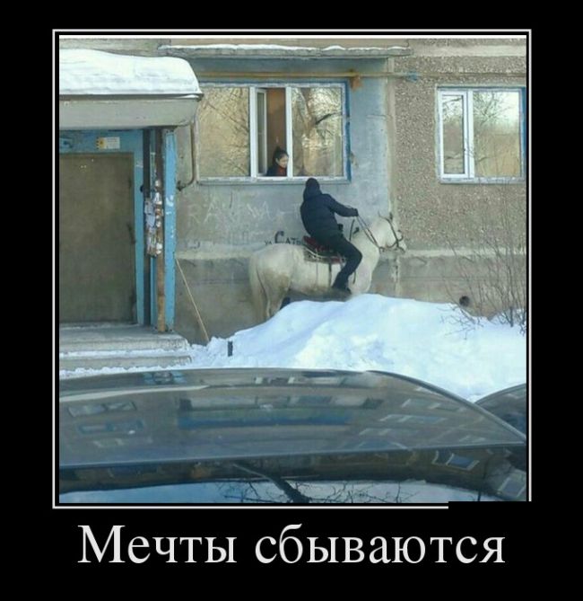 Свежие демотиваторы для веселого настроения (11 фото) Свежие демотиваторы для веселого настроения (11 фото)