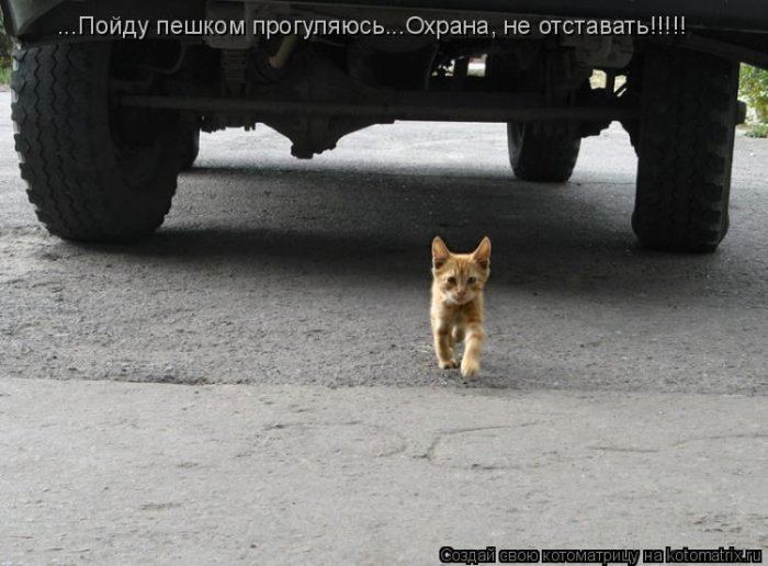 Мысли вслух :)