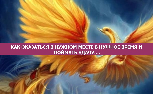 3Xg1Y5yuE20