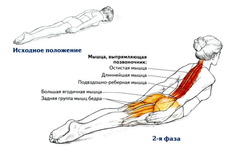 Омолаживающие 8 упражнений для укрепления спины Омолаживающие 8 упражнений для укрепления спины