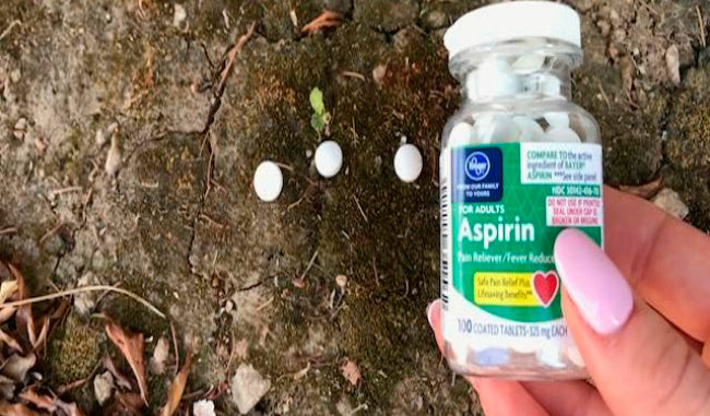 aspirin-udobreniye