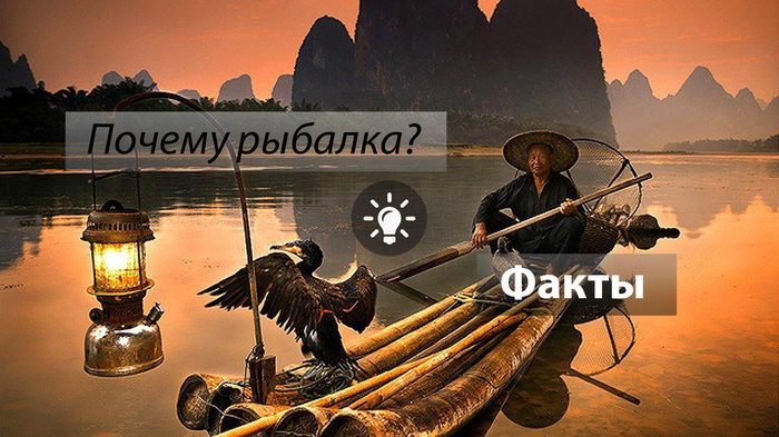 Почему они это делают? рыбалка, mefik, длиннопост