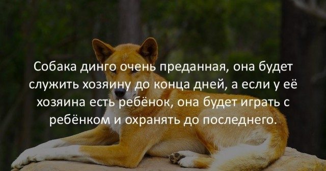 Об этих фактах вы точно не знали! Супер!