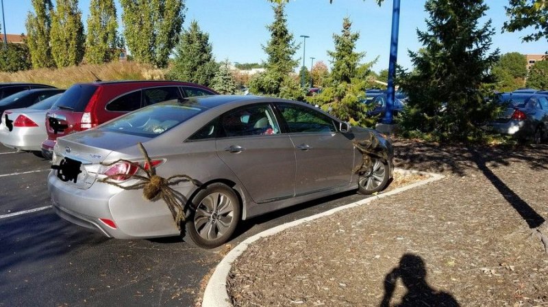 Подборка автомобильных приколов Подборка автомобильных приколов авто, автомобильный, автоприкол, автоприколы, одборка, прикол, приколы, юмор