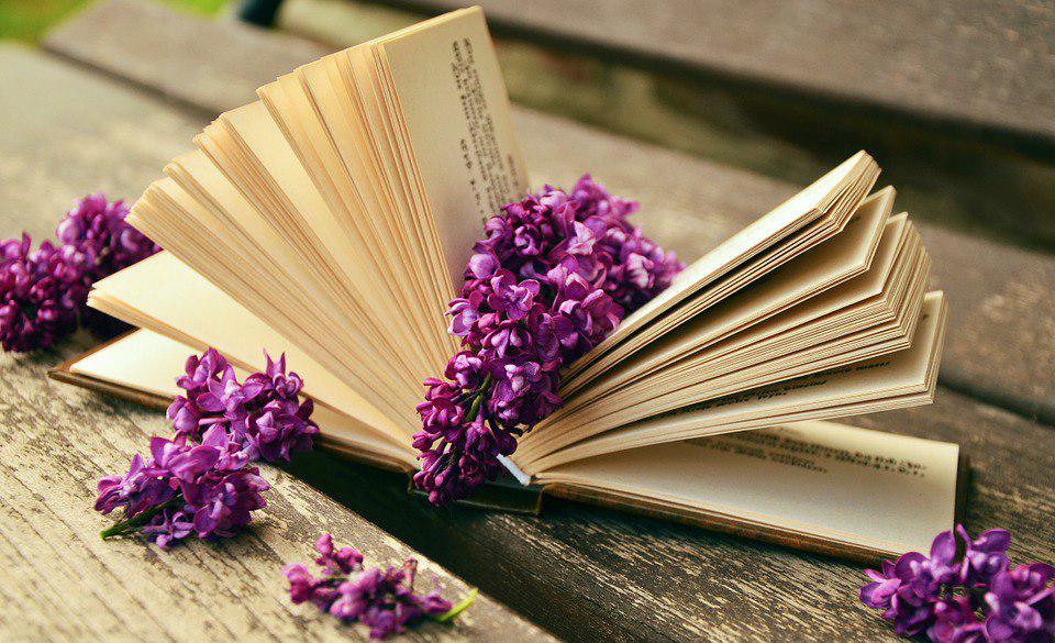 Библиотека в Некрасовке познакомит читателей с новыми книгами в рамках рубрики «Читающая среда»