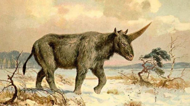 2. В Сибири жили единороги 2. В Сибири жили единороги сибирь, факт