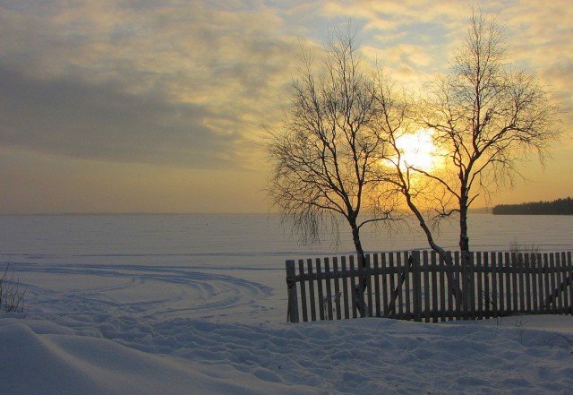 Морозное утро в деревне деревня, зима, красота, россия, снег