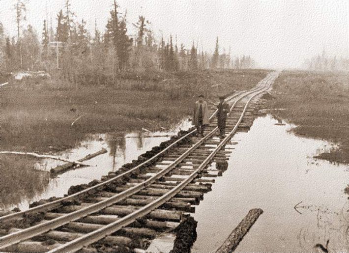 дорога, строительство