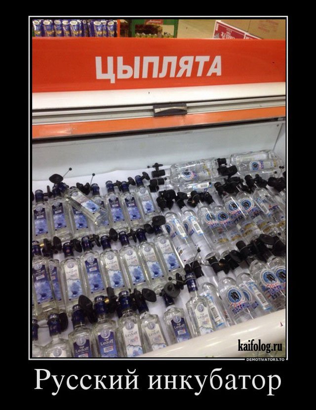 Русские демотиваторы года (110 штук) Русские демотиваторы года (110 штук)