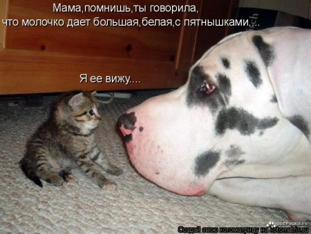 ��������� ����������� ������������..