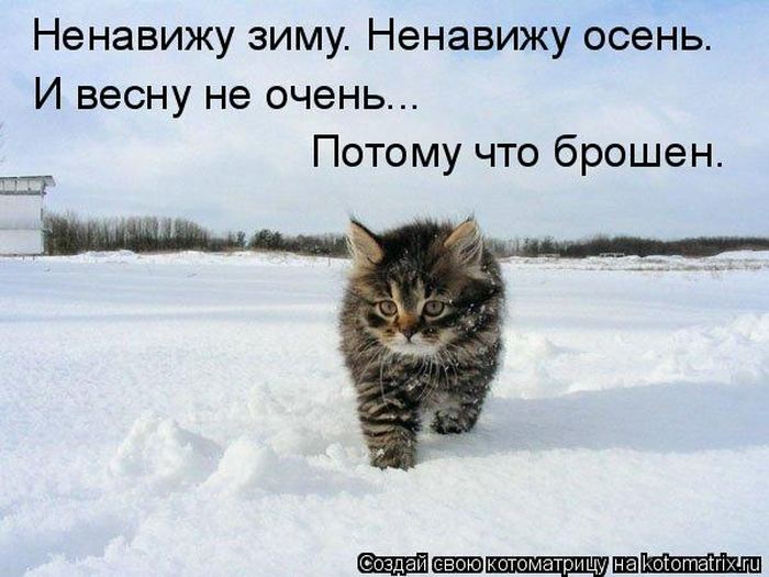 Котоматрицы :)