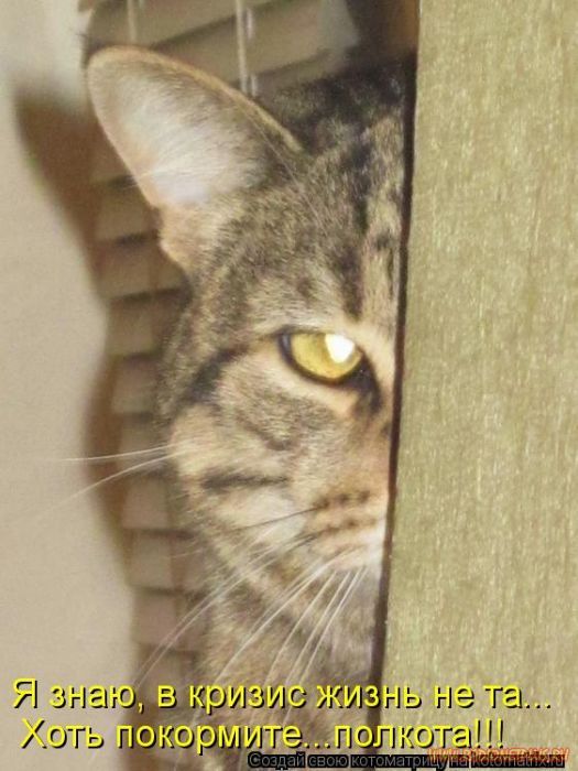 Котоматрицы великолепные, каждая с кусочком позитива и хорошего настроения!!! Котоматрицы великолепные, каждая с кусочком позитива и хорошего настроения!!!