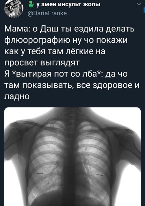 ПРИКОЛИСЬ ПРИКОЛИСЬ