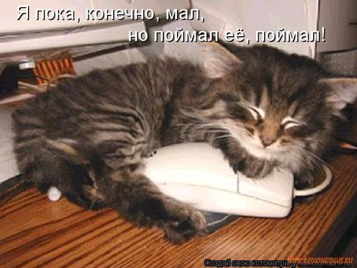 Котоматрицы великолепные, каждая с кусочком позитива и хорошего настроения!!! Котоматрицы великолепные, каждая с кусочком позитива и хорошего настроения!!!