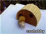 Деревянные домики для животных Деревянные домики для животных