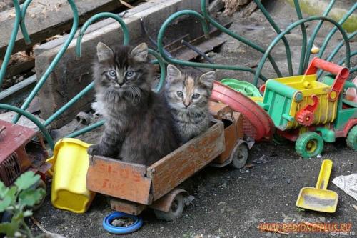 Давайте улыбаться вместе! :) (28поводов)