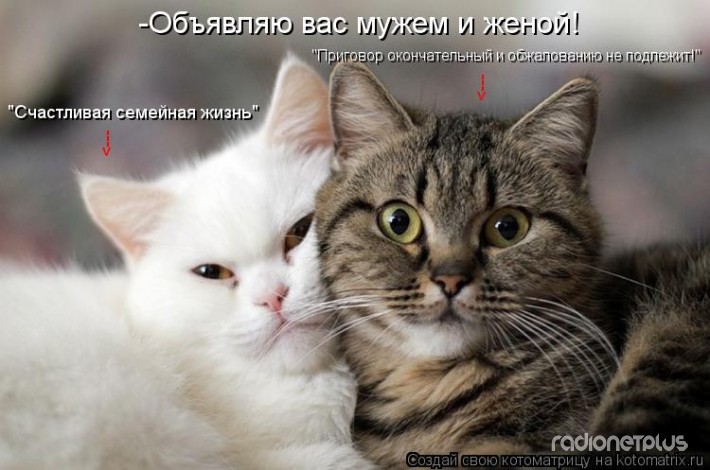 Семейная жизнь: как это?