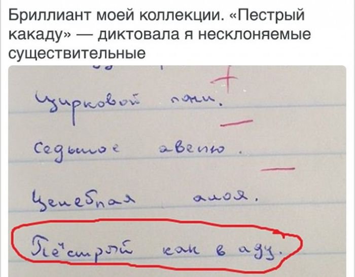 Садись, пять: смешные ответы школьников, до которых взрослые бы не додумались Садись, пять: смешные ответы школьников, до которых взрослые бы не додумались