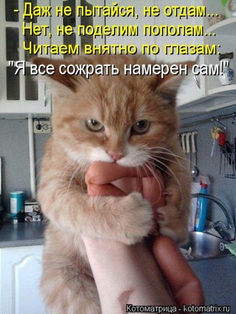 1 (5) (480x640, 63Kb)