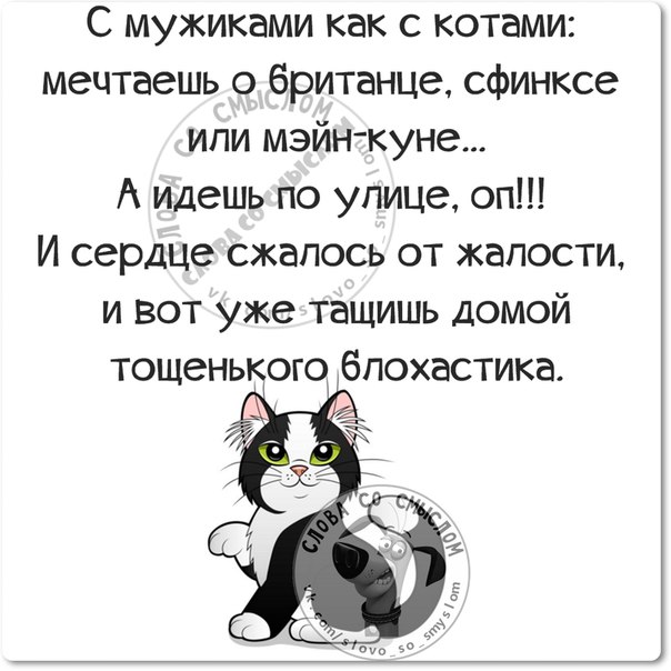 Прикольные фразочки в картинках