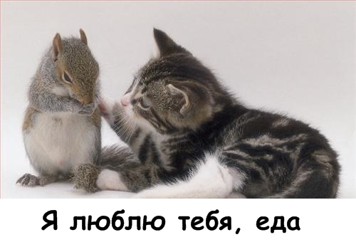Давайте улыбаться вместе! :) (29 улыбок)