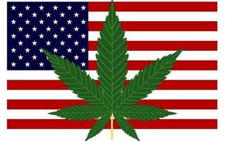 Forbes: Прибыль от продаж легальной марихуаны в США “превышает доходы от бума доткомов”