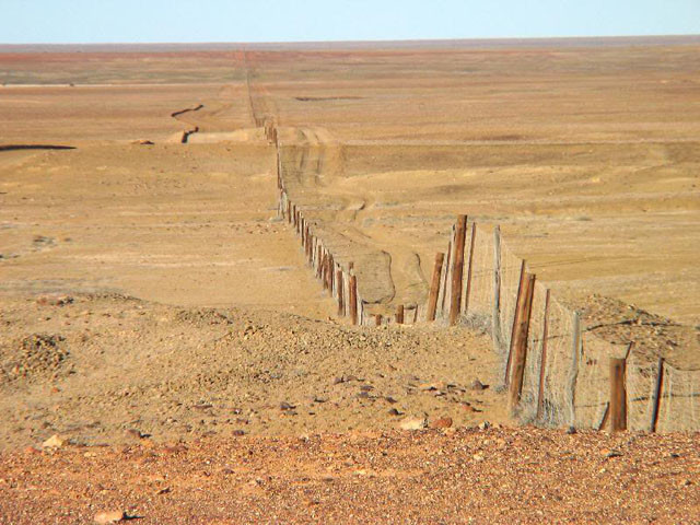 Самый длинный забор на планете 10 фактов о Австралии, австралия, факты