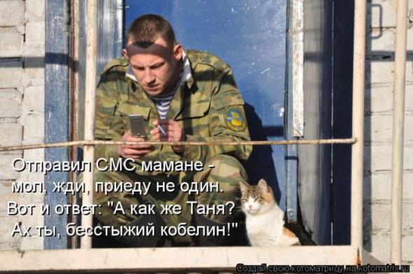 �����������(�������� � ���������)