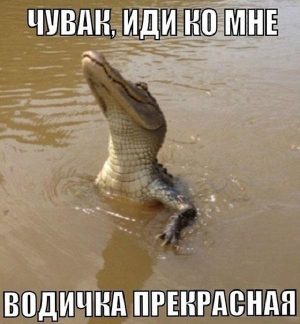 ÐаÑÑинки по запÑоÑÑ ÑоÑо пÑиколÑ