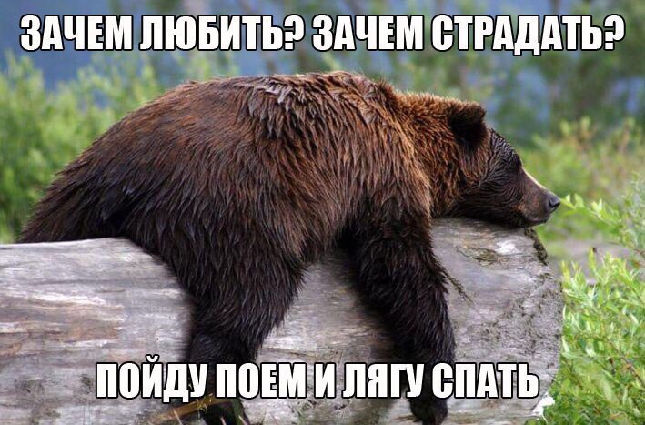 Прикольные и забавные картинки с надписями (10 фото) Прикольные и забавные картинки с надписями (10 фото)
