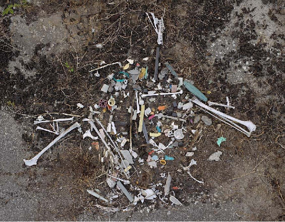 Пластмассовые убийцы Тихого океана Пластмассовые убийцы Тихого океана