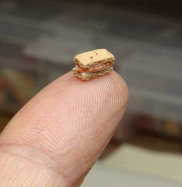 Экземпляр из Шереметьево Бутерброды на любой вкус и все случаи жизни
(13 фото)