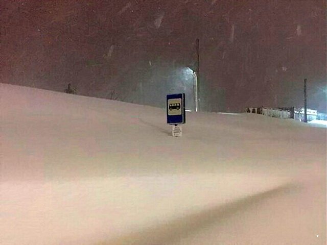 Автовсячина Автовсячина Автовсячина, авто, автомобиль, автоприкол, машина, прикол